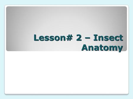 Lesson# 2 – Insect Anatomy Unit: Entomology Ms. Gutierrez.