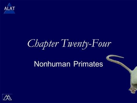Chapter Twenty-Four Nonhuman Primates.  If viewing this in PowerPoint, use the icon to run the show (bottom left of screen).  Mac users go to “Slide.