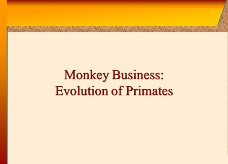 © 2002 by The McGraw-Hill Companies, Inc. All rights reserved. McGraw-Hill Monkey Business: Evolution of Primates.