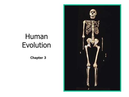 Human Evolution Chapter 3.