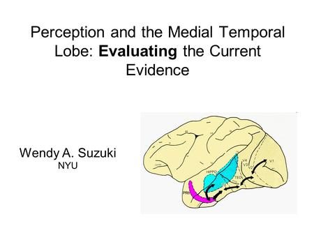 Perception and the Medial Temporal Lobe: Evaluating the Current Evidence Wendy A. Suzuki NYU.