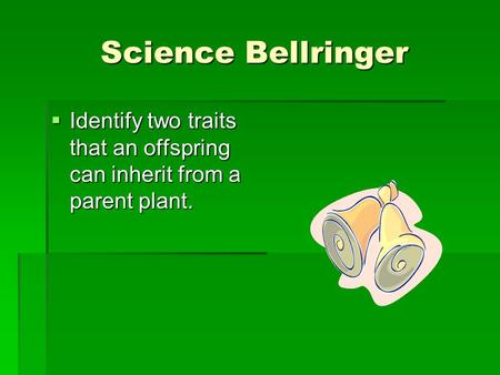 Science Bellringer  Identify two traits that an offspring can inherit from a parent plant.