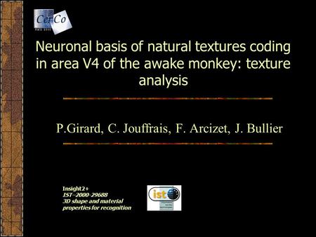 Neuronal basis of natural textures coding in area V4 of the awake monkey: texture analysis P.Girard, C. Jouffrais, F. Arcizet, J. Bullier Insight2+ IST–2000-29688.