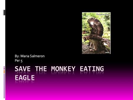 By: Maria Salmeron Per 5. Monkey Eating Eagle  This bird is one of the most fast & powerful birds. It is also one of the rarest. Another word for it.