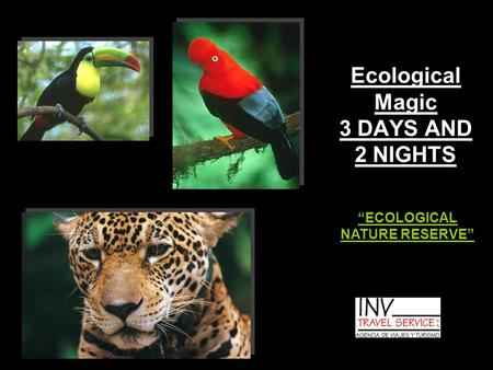 Ecological Magic 3 DAYS AND 2 NIGHTS “ECOLOGICAL NATURE RESERVE”