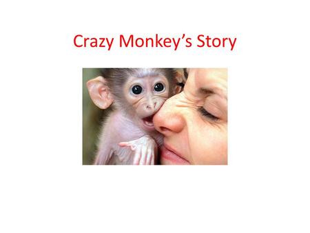 Crazy Monkey’s Story. First Day in Office Before pay hike.