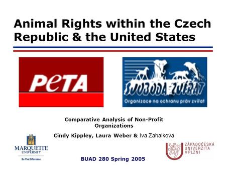 BUAD 280 Spring 2005 Animal Rights within the Czech Republic & the United States Comparative Analysis of Non-Profit Organizations Cindy Kippley, Laura.