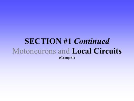 SECTION #1 Continued Motoneurons and Local Circuits (Group #1)