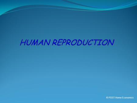 HUMAN REPRODUCTION © PDST Home Economics.