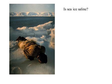 Is sea ice saline?.