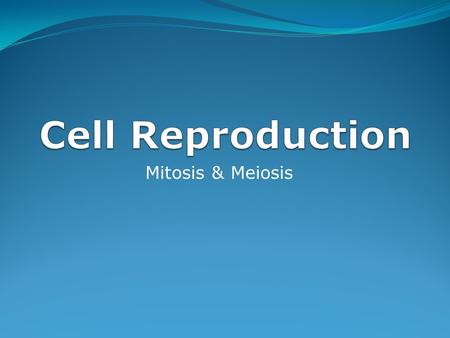 Cell Reproduction Mitosis & Meiosis.
