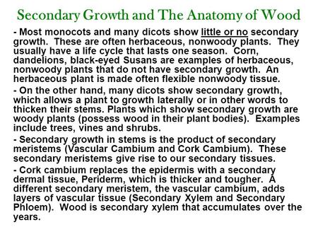 Secondary Growth and The Anatomy of Wood