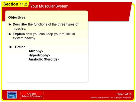 Section 11.2 Your Muscular System Slide 1 of 16 Objectives Describe the functions of the three types of muscles. Explain how you can keep your muscular.