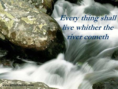Every thing shall live whither the river cometh www.kevinhinckley.com.