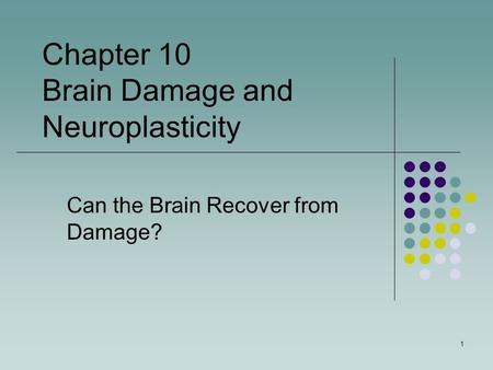Can the Brain Recover from Damage? Chapter 10 Brain Damage and Neuroplasticity 1.