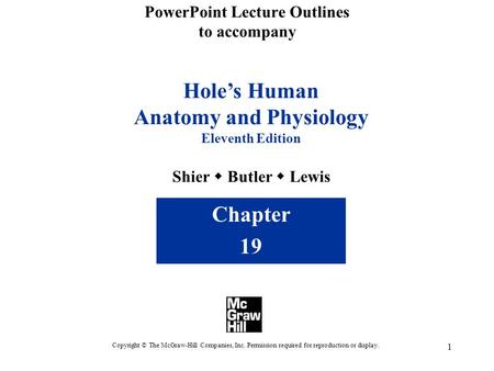 1 PowerPoint Lecture Outlines to accompany Hole’s Human Anatomy and Physiology Eleventh Edition Shier  Butler  Lewis Chapter 19 Copyright © The McGraw-Hill.