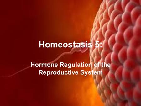 Hormone Regulation of the Reproductive System