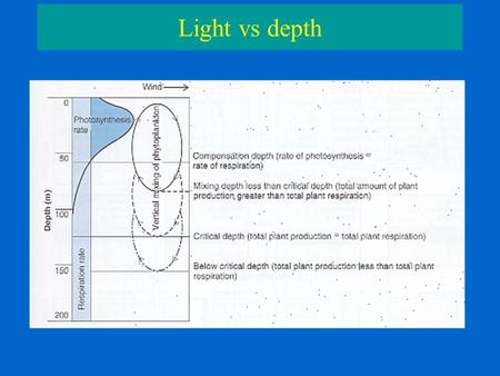 Light vs depth. Productivity vs depth Productivity vs Light PG – Gross Primary Productivity PN – Net Primary Productivity R - Respiration Pmax – maximal.
