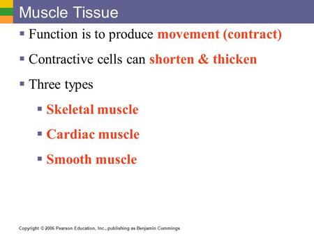 Muscle Tissue Function is to produce movement (contract)
