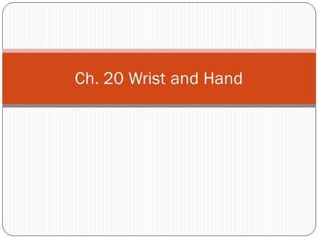 Ch. 20 Wrist and Hand.