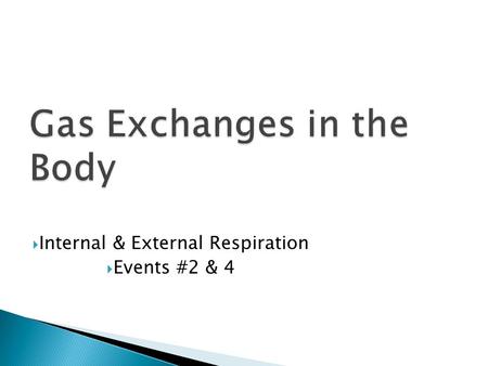  Internal & External Respiration  Events #2 & 4.
