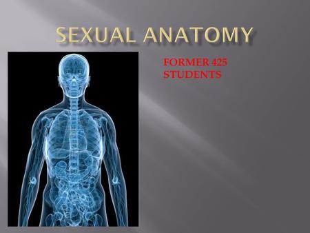 Sexual Anatomy FORMER 425 STUDENTS.