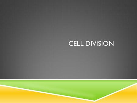 CELL DIVISION.  When cell divides forming 2 new cells  Prokaryotic cells  Called Binary Fission  Split into 2 parts  Eukaryotic cells  Called Mitosis.