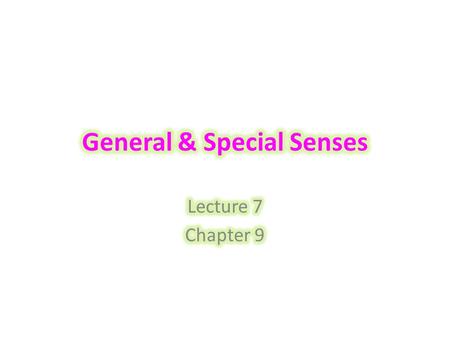 General & Special Senses