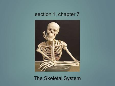 Section 1, chapter 7 The Skeletal System.