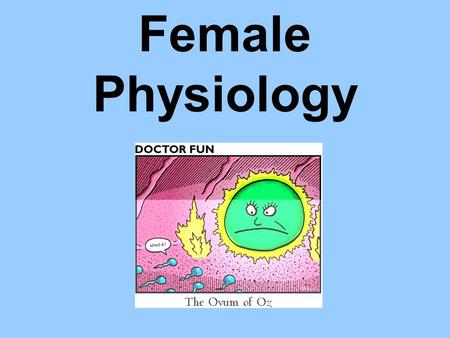 Female Physiology. Ovarian Cycle 28 days The cycle in which an oocyte matures, erupts from the ovary, and then travels down the oviduct. If not fertilized.
