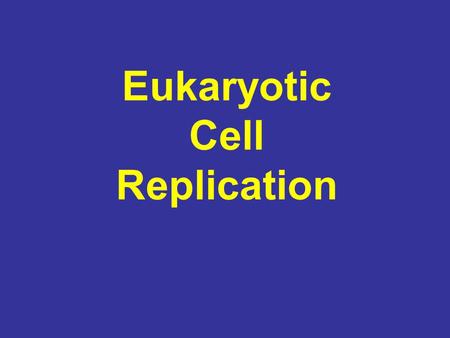 Eukaryotic Cell Replication