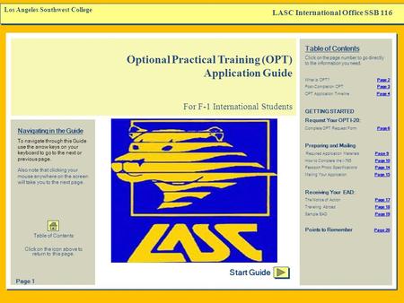 Optional Practical Training (OPT) Application Guide
