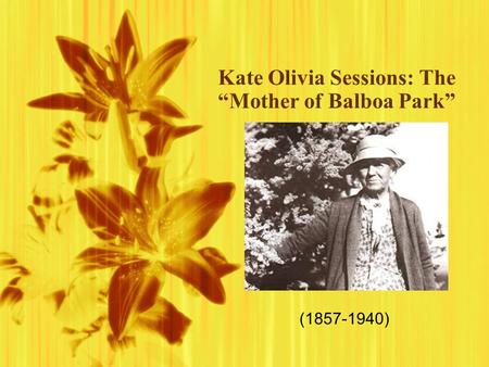 Kate Olivia Sessions: The “Mother of Balboa Park” (1857-1940)