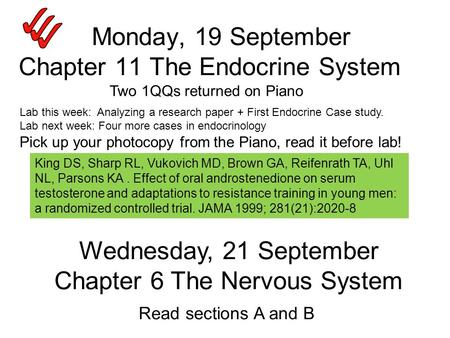 Monday, 19 September Chapter 11 The Endocrine System King DS, Sharp RL, Vukovich MD, Brown GA, Reifenrath TA, Uhl NL, Parsons KA. Effect of oral androstenedione.