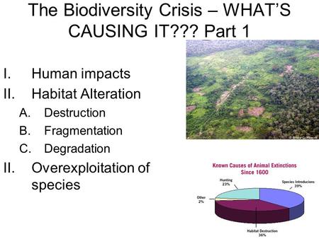 The Biodiversity Crisis – WHAT’S CAUSING IT??? Part 1
