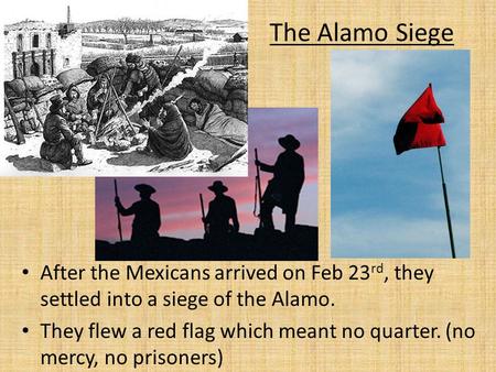 The Alamo Siege After the Mexicans arrived on Feb 23rd, they settled into a siege of the Alamo. They flew a red flag which meant no quarter. (no mercy,