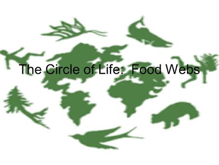 The Circle of Life: Food Webs. Food Chain: Nature’s Electricity A food chain shows how each living thing gets its food. energy is passed from one link.