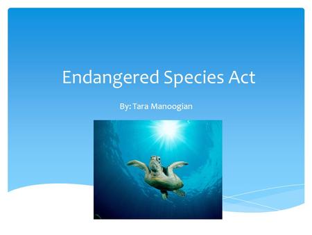 Endangered Species Act By: Tara Manoogian.  Draft year: Signed by Richard Nixon December 28, 1973  National  Amendment years: 1973, 1982, 1985, 1988.