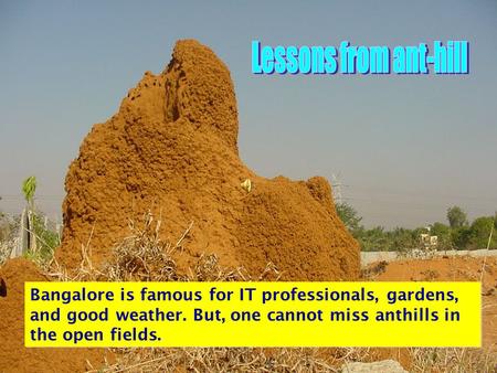 Bangalore is famous for IT professionals, gardens, and good weather. But, one cannot miss anthills in the open fields.