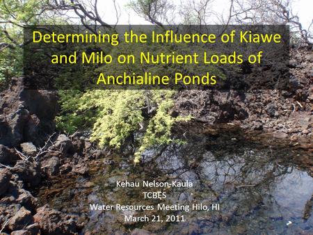 Determining the Influence of Kiawe and Milo on Nutrient Loads of Anchialine Ponds Kehau Nelson-Kaula TCBES Water Resources Meeting Hilo, HI March 21, 2011.