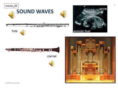 Waves_04 SOUND WAVES flute clarinet click for sounds.