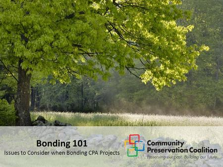 Bonding 101 Issues to Consider when Bonding CPA Projects.