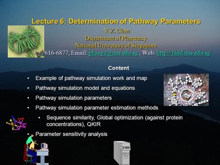 Lecture 6: Determination of Pathway Parameters Y.Z. Chen Department of Pharmacy National University of Singapore Tel: 65-6616-6877;