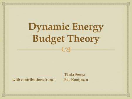  Dynamic Energy Budget Theory Tânia Sousa with contributions from :Bas Kooijman.