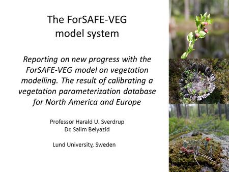 The ForSAFE-VEG model system Reporting on new progress with the ForSAFE-VEG model on vegetation modelling. The result of calibrating a vegetation parameterization.