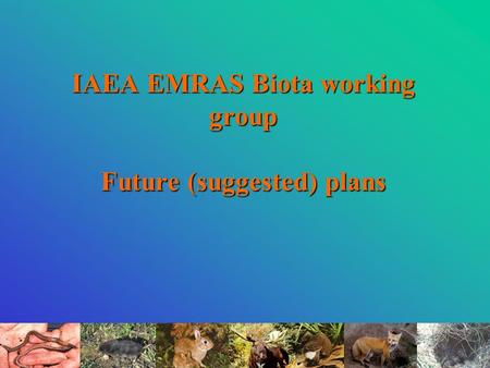 IAEA EMRAS Biota working group Future (suggested) plans.