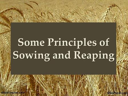 { Some Principles of Sowing and Reaping. Matt. 13:3-9, 18-23 An invitation to seek the lost Seed – the word of God (Lk. 8:11) Soils – hearts “parable.