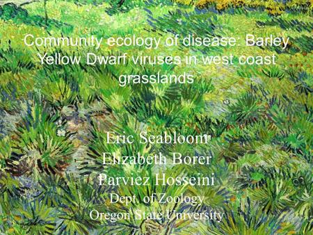 Community ecology of disease: Barley Yellow Dwarf viruses in west coast grasslands Eric Seabloom Elizabeth Borer Parviez Hosseini Dept. of Zoology Oregon.