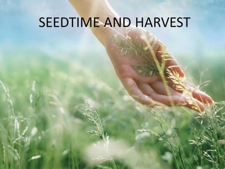 SEEDTIME AND HARVEST. b Jesus, there is something about that name Jesus, Jesus, Jesus there is something about that name, master,saviour, Jesus like the.