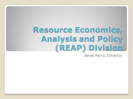 Resource Economics, Analysis and Policy (REAP) Division Janet Perry, Director.